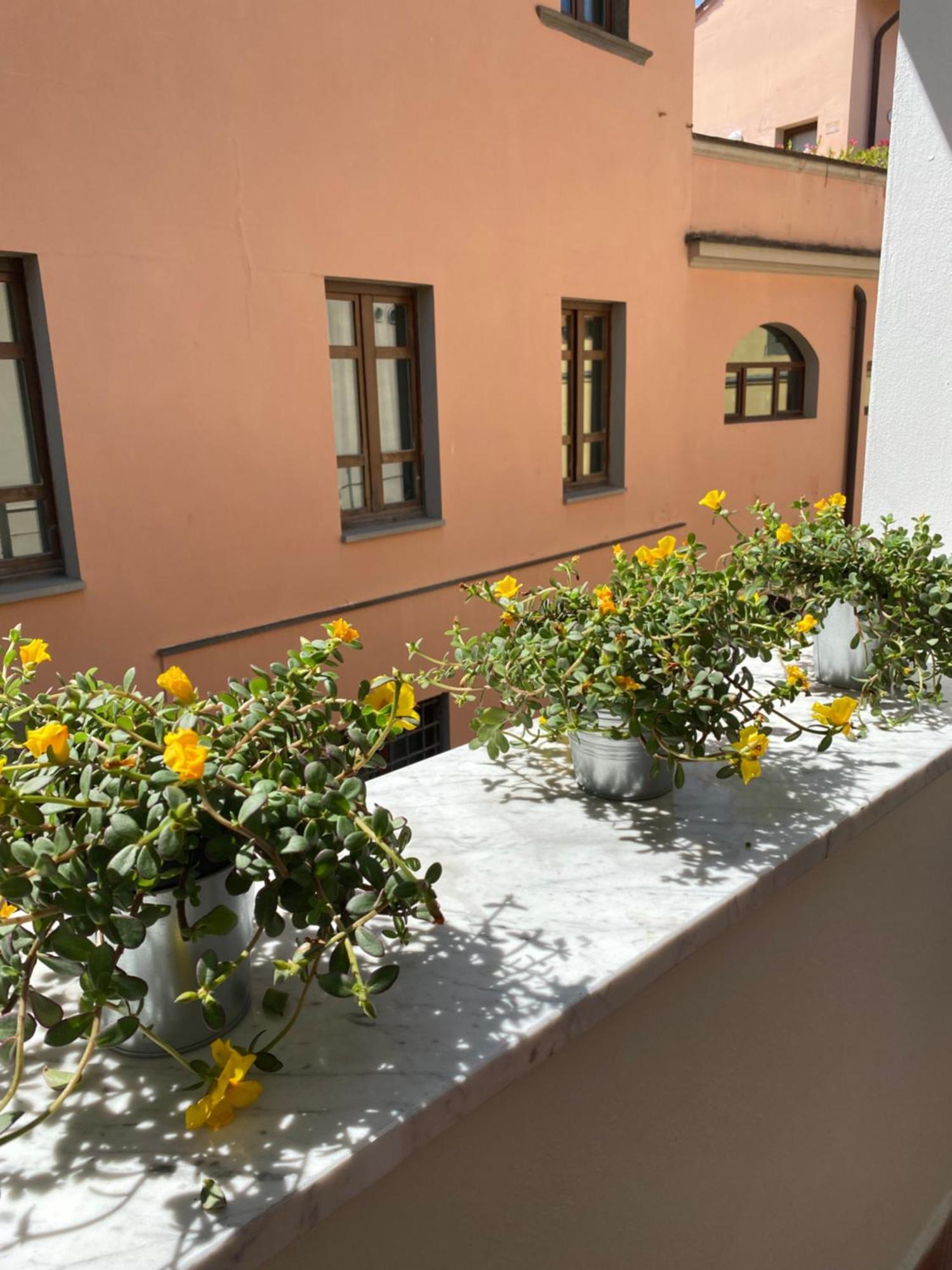 Blom Apartments Pisa Kültér fotó